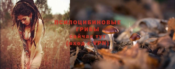 марки nbome Лиски