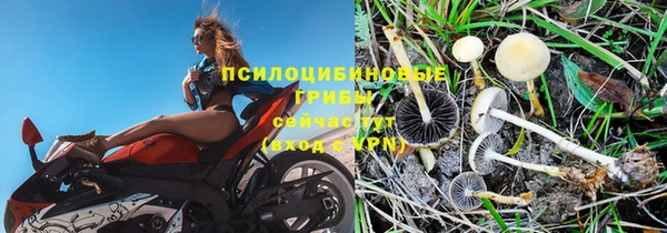 спиды Липки