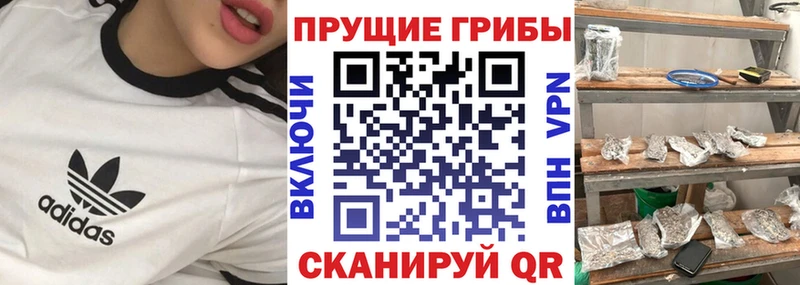 Псилоцибиновые грибы Magic Shrooms  Хилок 